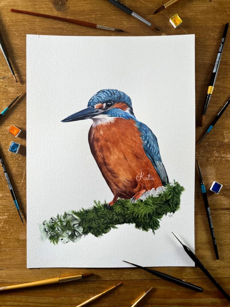 Kingfisher Photo Flatlay Wm (1)